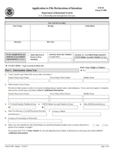 N-300 Form - Page 1