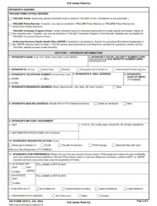 DD Form 2876-2 - Page 2