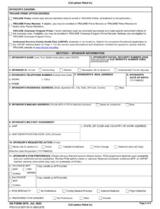 DD Form 2876 - Page 2