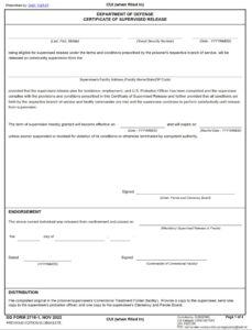 DD Form 2716-1 - Page 1