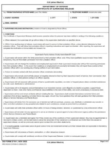 DD Form 2716-1 - Page 2
