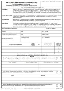 DA Form 7246 - Page 1