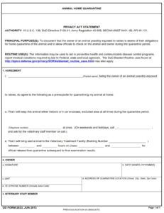 DD Form 2623
