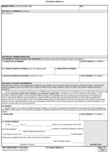 DD Form 2656-5 - Page 3